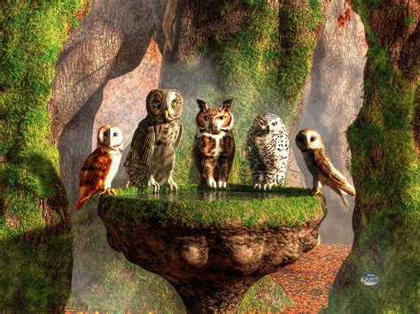 A Parliament of Owls by deskridge on DeviantArt