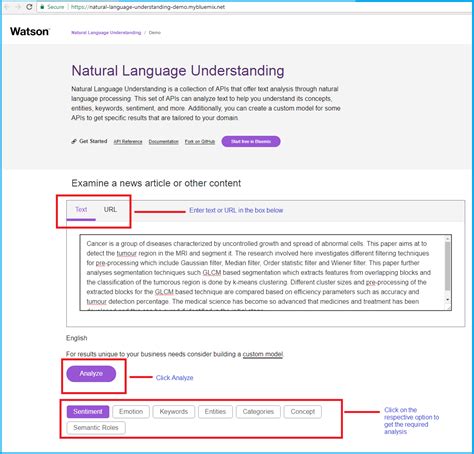 Natural Language Processing with IBM Watson and Stanford NLP - Zerone ...