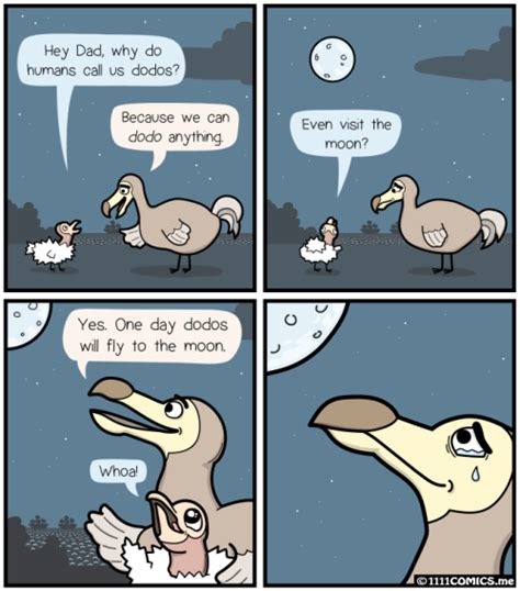 Dodo.www.1111comics.me/comic/202 Dodos can’t fly. | Comics, Funny comics, Funny