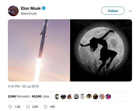 Elon Musk Twitter: From Tesla to Starship, these are the SpaceX CEO's weirdest tweets | Science ...