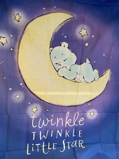 Cleveland Characters 'Care Bears' Twinkle Twinkle Little Star Quilt Panel in 2020 | Star quilt ...