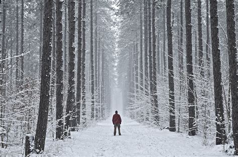 winter, sault ste. marie, ontario | pinder trail, kinsmen / … | Flickr