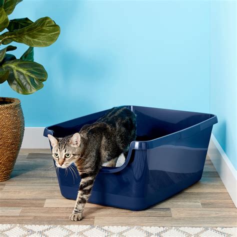 FRISCO High Sided Cat Litter Box, Extra Large 24-in (Free Shipping) | Chewy