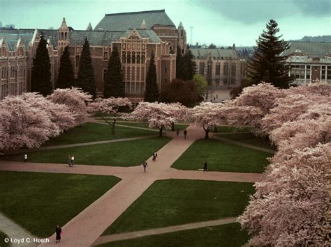 The Top 10 Best Landscaped Colleges - West Coast