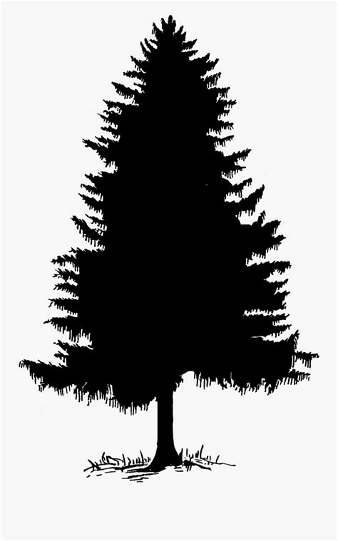 Pine Trees Svg Pine Tree Svg Forest Svg Christmas Tre - vrogue.co