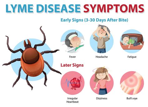 Lyme Disease (Borreliosis) – HealthAid®