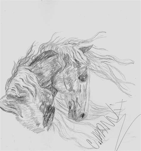 Horse Pencil Drawing by mumblealice17 on DeviantArt