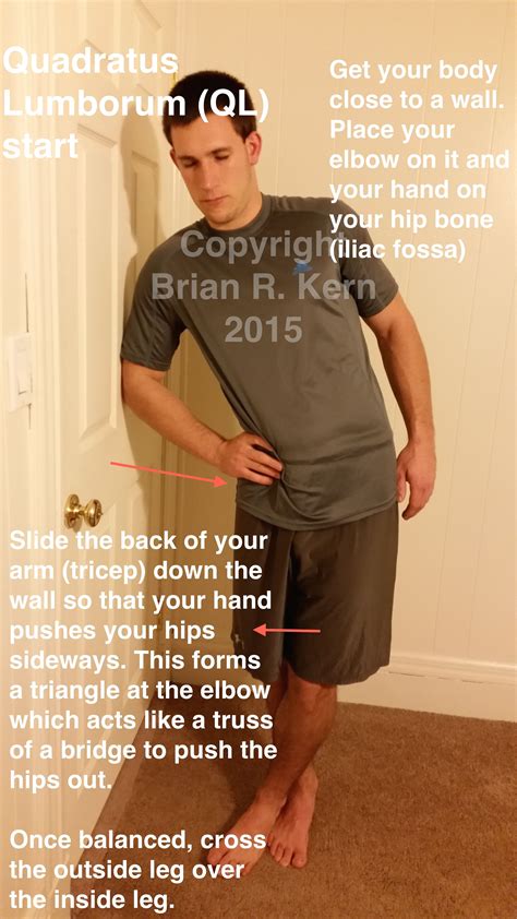 The Quadratus Lumborum (QL) muscle can get tight and cause low back ...