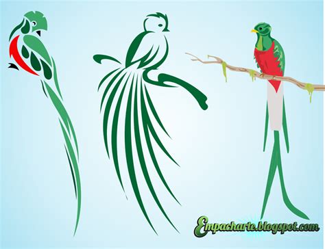 quetzal símbolo - Recherche Google | Tatuaje de quetzal, El quetzal ...