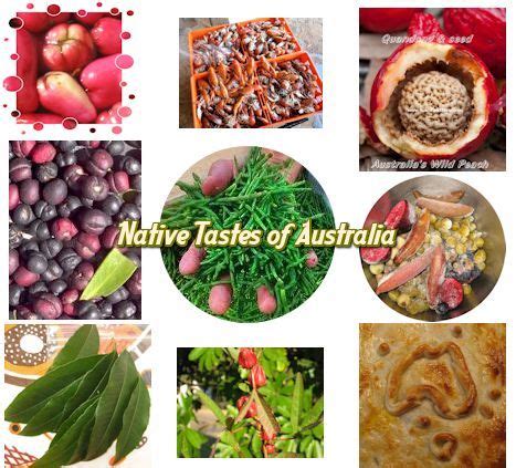 Native ingredients - Bush food Recipes - Bush Tucker Bush Food - Taste ...