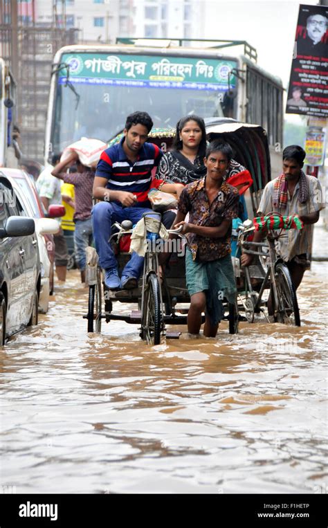 Dhaka, Bangladesh. 2nd Sep, 2015. Rickshaw pullers carry passengers on a flooded road after a ...