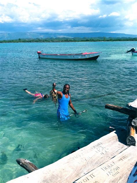 The Pelican Bar Treasure Beach Jamaica