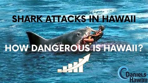 Shark Attack in Hawaii - What island in Hawaii has most Shark Attacks? Safe to swim in Hawaii ...