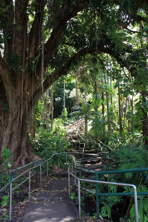 How to Take a Day Trip to Wailuku River State Park (+ Map)