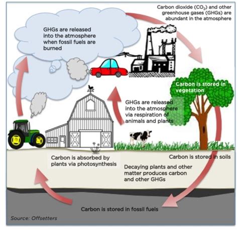 Causes Of Climate Change | Greenhouse gases, Climate change, Global warming