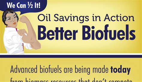 Algae Biofuel Pros and Cons - HRF