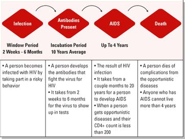 Stages of HIV/AIDS - AIDS/HIV