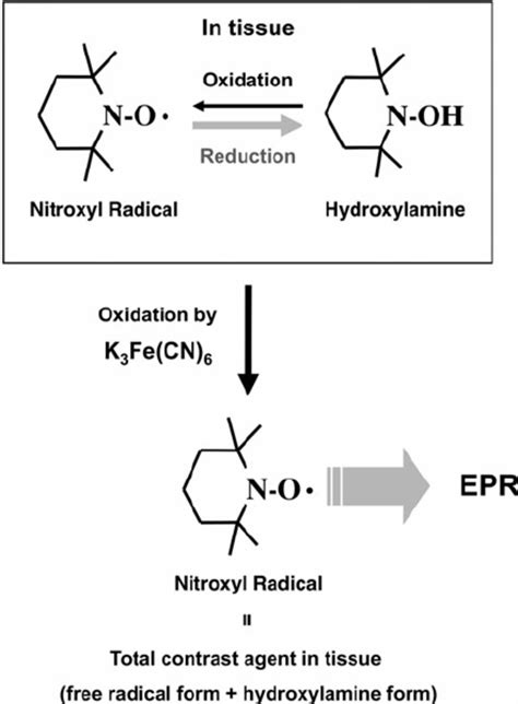 9. Re-oxidation of a hydroxylamine to the corresponding nitroxyl ...