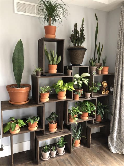 New shelving unit I just grabbed for my plants! Still plenty of room ...