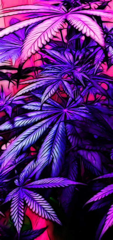 Download Neon Weed Aesthetic for iPhone Wallpaper | Wallpapers.com