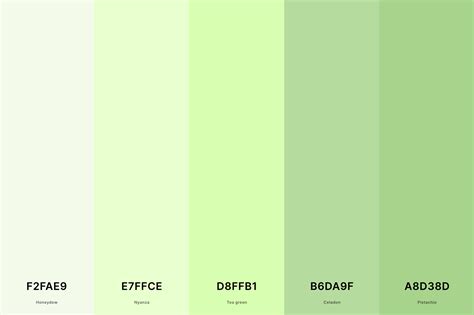35+ Best Green Color Palettes with Names and Hex Codes – CreativeBooster