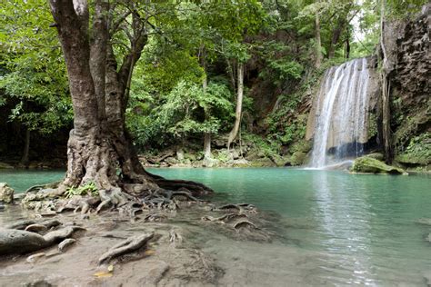 GPS Guide: Rainforest Scenes That'll Make You Feel Instantly Refreshed (PHOTOS) | HuffPost