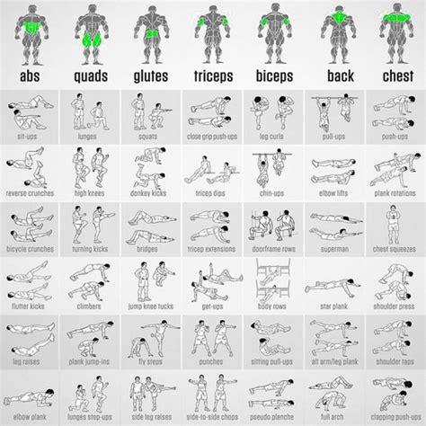 BODYBUILDING EXERCISES - Zahunna Vermo