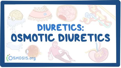 Osmotic diuretics: Video, Causes, & Meaning | Osmosis