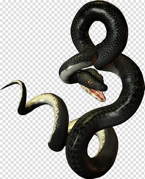 Black Snakes, black mamba snake illustration transparent background PNG ...