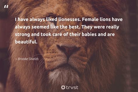 Lion Quotes - 42 Inspirational Lion Sayings & Famous Quotes