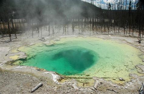 Finding a Needle in a Haystack: Discovering Sulfur Bacteria off the ...