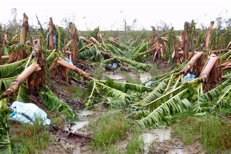 The legacy of Cyclone Yasi: Why Queensland's biggest storm left ...