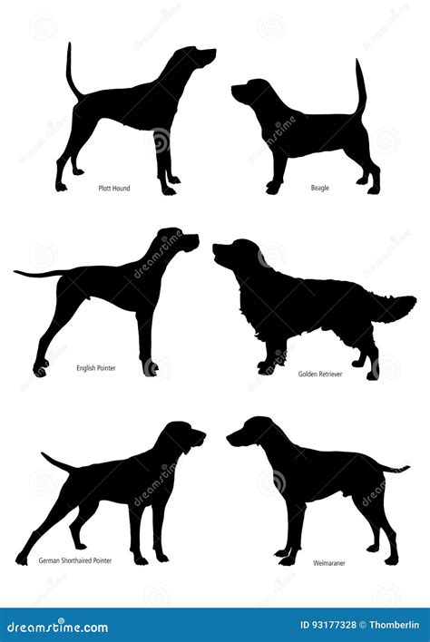 Set of Silhouettes of Hunting Dogs Stock Vector - Illustration of ...