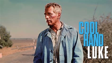 🔥 [20+] Cool Hand Luke Wallpapers | WallpaperSafari