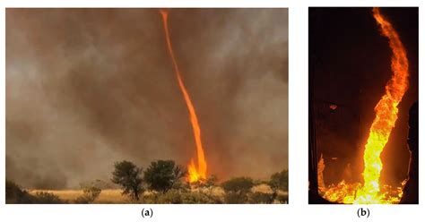 Fire | Free Full-Text | Experimental and Numerical Analysis of Formation and Flame Precession of ...