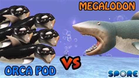 Orca Pod vs Megalodon | Modern vs Prehistoric [S2E10] | SPORE - YouTube