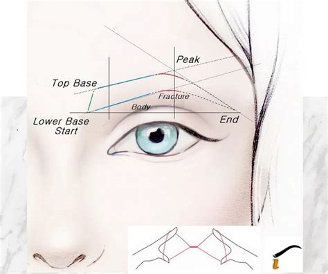 Eyebrow threading shapes before and after