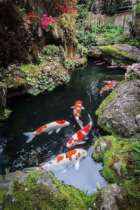 15 Japanese Koi Ponds For Your Garden – Top Diy Ideas | Ide desain ...