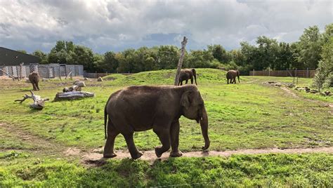 Blackpool Zoo - Review, Tickets & Hours