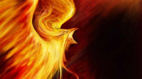 Phoenix Bird HD Wallpaper (75+ images)