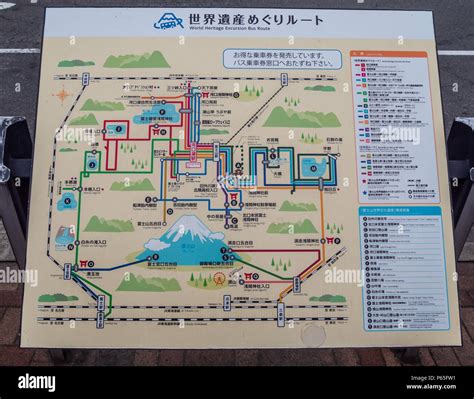 Trasplante apetito diferente a kawaguchiko map Reparación posible temperatura salvar