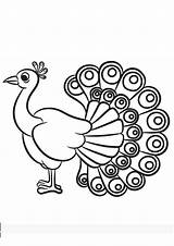 Cute Peacock Coloring Page sketch template