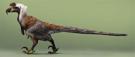 The Jackalhawk: A Neodromeosaurid by CoolioArt : r/SpeculativeEvolution