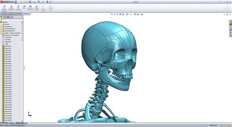 3d 3dm solidworks skeleton