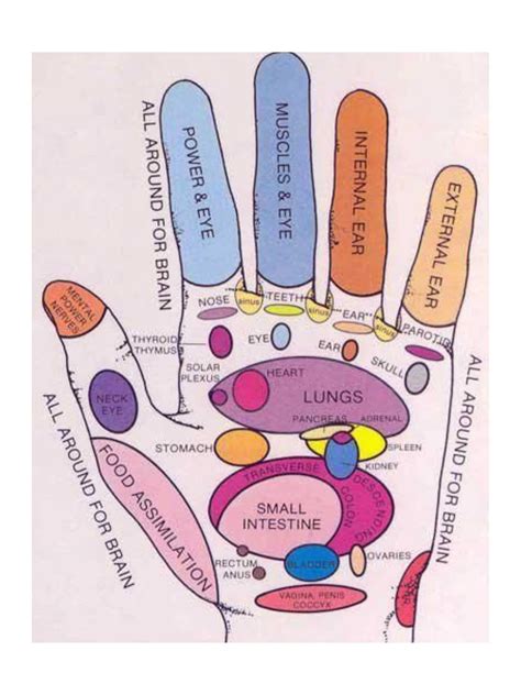 HAND REFLEXOLOGY CHART - Etsy Canada