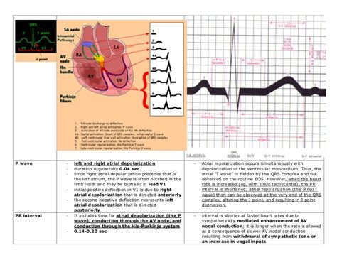 Basic ecg