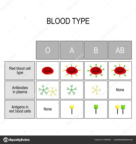 Different Blood Types Chart - Ponasa