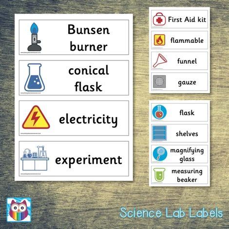 Science Lab Labels | Science lab, Resource classroom, Science