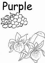 Things That Are Purple Coloring Pages sketch template