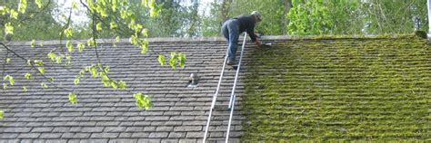 Cirencester Moss Removal | Cotswold Period Roofing